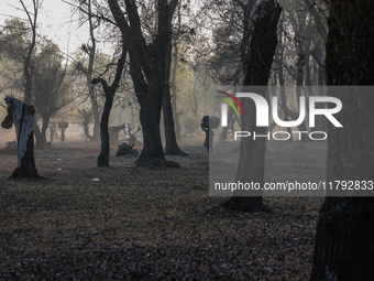 Kashmiri girls carry sacks full of dried leaves for making charcoal on a cold autumn day in Sopore, Jammu and Kashmir, India, on November 19...