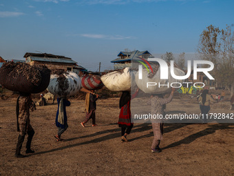 Kashmiri girls carry sacks full of dried leaves for making charcoal on a cold autumn day in Sopore, Jammu and Kashmir, India, on November 19...