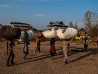 Kashmiri girls carry sacks full of dried leaves for making charcoal on a cold autumn day in Sopore, Jammu and Kashmir, India, on November 19...