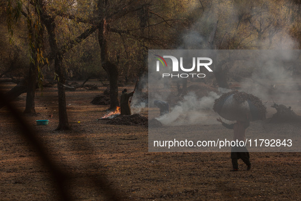 A woman carries a sack full of dried leaves for making charcoal on a cold autumn day in Sopore, Jammu and Kashmir, India, on November 19, 20...