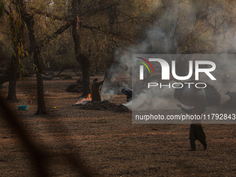 A woman carries a sack full of dried leaves for making charcoal on a cold autumn day in Sopore, Jammu and Kashmir, India, on November 19, 20...