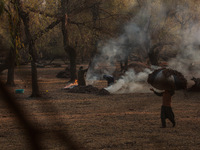 A woman carries a sack full of dried leaves for making charcoal on a cold autumn day in Sopore, Jammu and Kashmir, India, on November 19, 20...