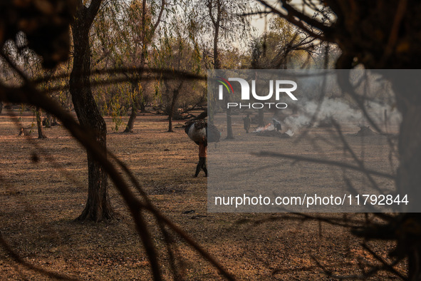 A woman carries a sack full of dried leaves for making charcoal on a cold autumn day in Sopore, Jammu and Kashmir, India, on November 19, 20...