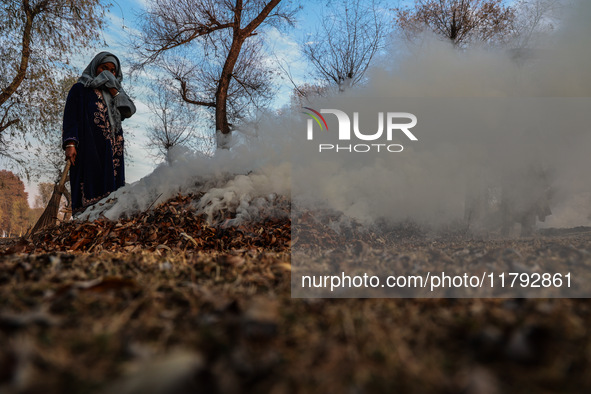 A couple burns dried leaves and twigs of trees to make charcoal on a cold autumn day in Sopore, Jammu and Kashmir, India, on November 19, 20...