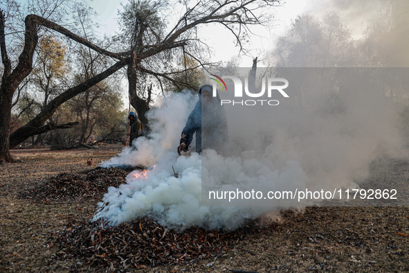 A couple burns dried leaves and twigs of trees to make charcoal on a cold autumn day in Sopore, Jammu and Kashmir, India, on November 19, 20...