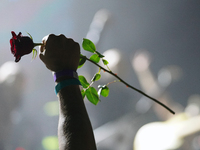 A man holds a rose during the performance of the American hardcore/grindcore band Squid Pisser at the Gwar The Stoned Age Tour at The Factor...