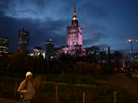 A view of the city center and the Palace of Culture and Science in Warsaw, Poland on November 18, 2024. (