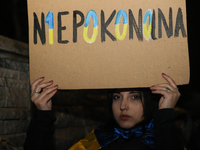 A protest is organized on the 1000th day of the war in Ukraine opposite the Embassy of the Russian Federation in Warsaw, Poland, on November...