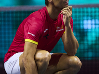 MALAGA, SPAIN - NOVEMBER 19: Rafa Nadal's farewell to professional tennis after being knocked out of the Quarter-Final of the Davis Cup Fina...