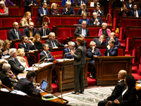 Annie Genevard, the French Minister of Agriculture, Food Sovereignty, and Forestry, speaks at the public session of questions to the French...