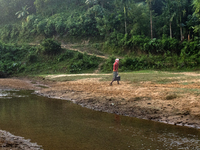 A man carries water in jars from a reservoir locally called ''Jhiri,'' which serves as a vital source of clean water for the locals in Durga...