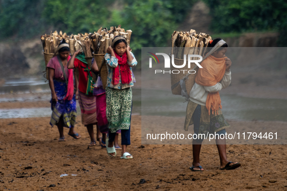 A tribal girl carries wood from the forest as she walks past a reservoir in Durgapur, Netrokona, Bangladesh, on November 17, 2024. The reser...