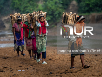 A tribal girl carries wood from the forest as she walks past a reservoir in Durgapur, Netrokona, Bangladesh, on November 17, 2024. The reser...