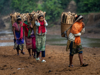 A tribal girl carries wood from the forest as she walks past a reservoir in Durgapur, Netrokona, Bangladesh, on November 17, 2024. The reser...