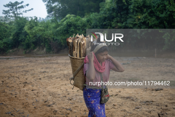 A tribal girl carries wood from the forest as she walks past a reservoir in Durgapur, Netrokona, Bangladesh, on November 17, 2024. The reser...