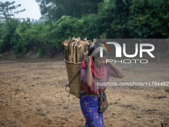 A tribal girl carries wood from the forest as she walks past a reservoir in Durgapur, Netrokona, Bangladesh, on November 17, 2024. The reser...