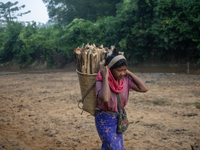 A tribal girl carries wood from the forest as she walks past a reservoir in Durgapur, Netrokona, Bangladesh, on November 17, 2024. The reser...