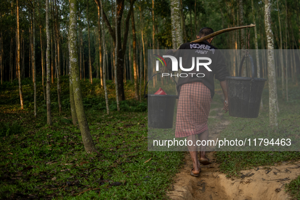 A man carries water in jars from a reservoir, locally called ''Jhiri,'' to his home. The reservoir serves as a vital source of clean water f...