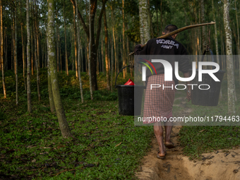 A man carries water in jars from a reservoir, locally called ''Jhiri,'' to his home. The reservoir serves as a vital source of clean water f...