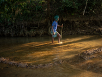 An old tribal man walks through the reservoir, locally called ''Jhiri,'' in Durgapur, Netrokona, Bangladesh, on November 17, 2024. The reser...