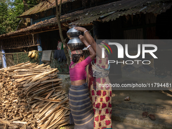 A tribal woman heads home after collecting water from the reservoir, locally known as ''Jhiri,'' in Durgapur, Netrokona, Bangladesh, on Nove...