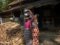 A tribal woman heads home after collecting water from the reservoir, locally known as ''Jhiri,'' in Durgapur, Netrokona, Bangladesh, on Nove...