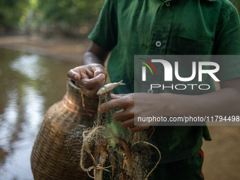 Indrajit (11) catches fish from the reservoir with a small net to support his family in Durgapur, Netrokona, Bangladesh, on November 17, 202...