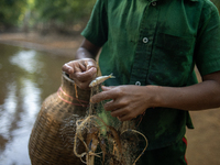 Indrajit (11) catches fish from the reservoir with a small net to support his family in Durgapur, Netrokona, Bangladesh, on November 17, 202...