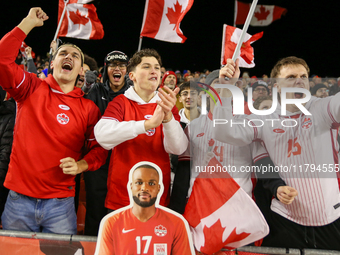 Fans celebrate Team Canada's goal during the CONCACAF Nations League Quarter Final Match between Team Canada and Suriname at BMO Field in To...