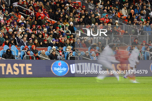 Fans watch the game while the Maple Lodge brand is spotted at the CONCACAF Nations League Quarter Final Match between Team Canada and Surina...