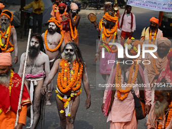 Indian Sadhus (holy men) of Shri Panch Dashnam Juna Akhara participate in a religious procession during the grand Nagar Pravesh ceremony for...