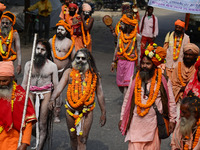 Indian Sadhus (holy men) of Shri Panch Dashnam Juna Akhara participate in a religious procession during the grand Nagar Pravesh ceremony for...