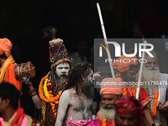 Indian Sadhus (holy men) of Shri Panch Dashnam Juna Akhara participate in a religious procession during the grand Nagar Pravesh ceremony for...