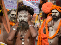 Indian Sadhus (holy men) of Shri Panch Dashnam Juna Akhara participate in a religious procession during the grand Nagar Pravesh ceremony for...