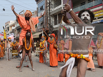 Indian Sadhus (holy men) of Shri Panch Dashnam Juna Akhara participate in a religious procession during the grand Nagar Pravesh ceremony for...