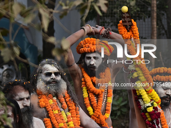 Indian Sadhus (holy men) of Shri Panch Dashnam Juna Akhara participate in a religious procession during the grand Nagar Pravesh ceremony for...