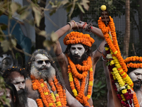 Indian Sadhus (holy men) of Shri Panch Dashnam Juna Akhara participate in a religious procession during the grand Nagar Pravesh ceremony for...