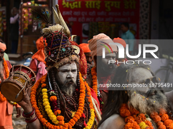 Indian Sadhus (holy men) of Shri Panch Dashnam Juna Akhara participate in a religious procession during the grand Nagar Pravesh ceremony for...