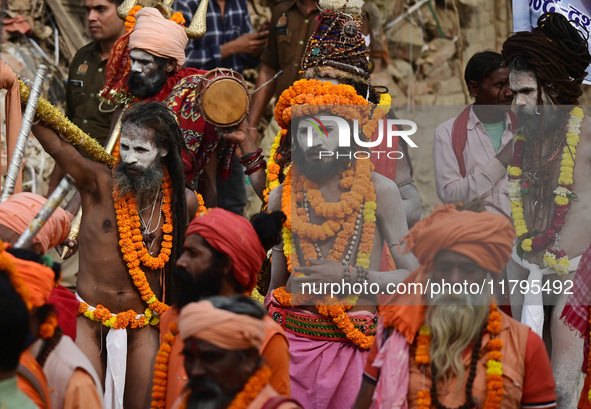 Indian Sadhus (holy men) of Shri Panch Dashnam Juna Akhara participate in a religious procession during the grand Nagar Pravesh ceremony for...