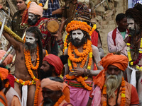 Indian Sadhus (holy men) of Shri Panch Dashnam Juna Akhara participate in a religious procession during the grand Nagar Pravesh ceremony for...