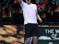 MALAGA, SPAIN - NOVEMBER 20: Daniel Altmaier of Team Germany celebrates the victory after his singles match against Gabriel Diallo of Team C...