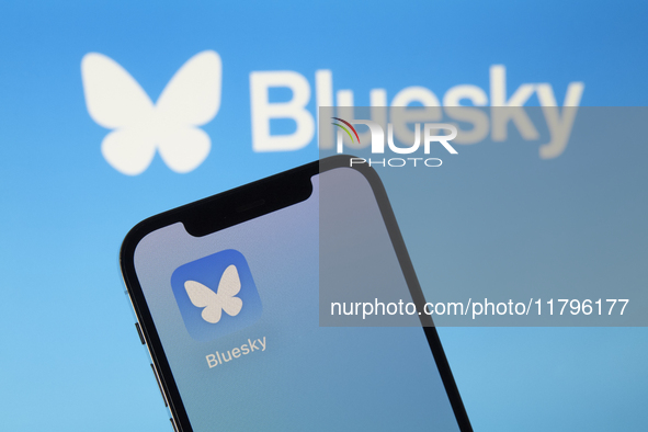 The image shows the icon of Bluesky, the new decentralized social network created by Twitter co-founder Jack Dorsey. . 