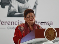 Ernestina Godoy Ramos, legal advisor to the Federal Executive Branch, speaks about sending three secondary laws of the Judiciary to the Mexi...