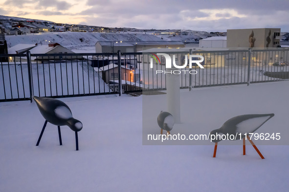 A panoramic view of a park in a seaport near the town of Husavik, Iceland, on November 19, 2024. 