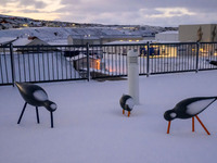 A panoramic view of a park in a seaport near the town of Husavik, Iceland, on November 19, 2024. (