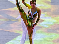 An artist performs at the opening ceremony of the International Rhythmic Gymnastics Tournament ''Sky Grace 2024'' at Aspire Zone Foundation...