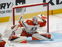 Lukas Dostal, the #1 goalkeeper of the Anaheim Ducks, defends a play against the Dallas Stars during the NHL regular season match at the Ame...