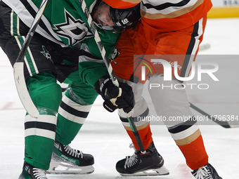 Tyler Seguin #91 of the Dallas Stars and Leo Carlsson #91 of the Anaheim Ducks battle for the puck during the NHL regular season match at th...