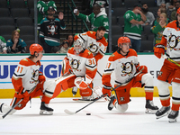 Anaheim Ducks players are on the ice against the Dallas Stars during the NHL regular season match at the American Airlines Center in Dallas,...