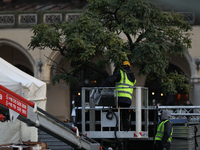 Workers put up Christmas lights on a tree in the Main Square in Krakow, Poland, on November 18, 2024. (